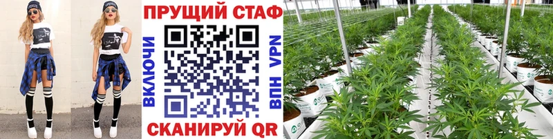 Где найти наркотики Раменское Кокаин A PVP Гашиш Бошки Шишки kraken ТОР Мефедрон