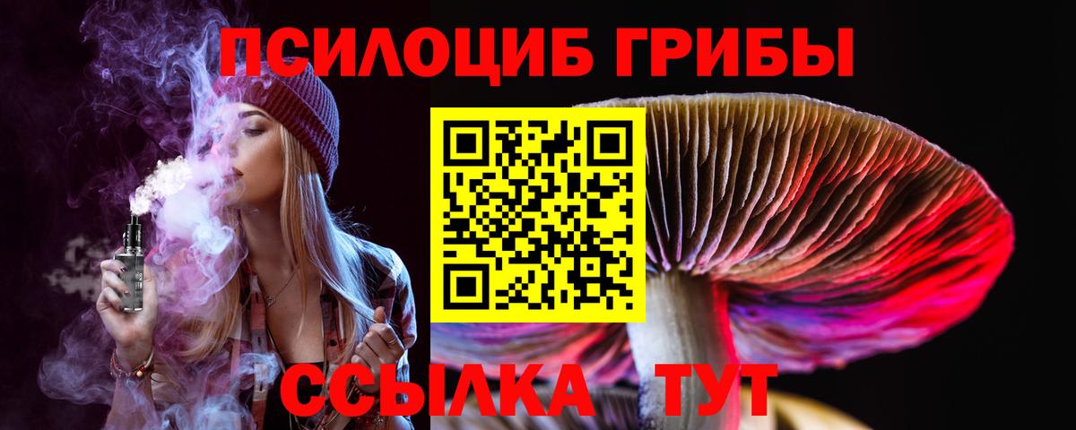 Псилоцибиновые грибы Magic Shrooms  Псилоцибиновые грибы прущие грибы  Раменское  Вход с VPN 